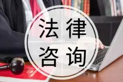 法律咨詢與指導