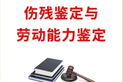 傷殘鑒定與損失評估