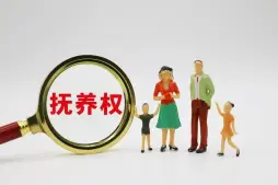 撫養權和(hé / huò)探視權争議