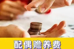 贍養費的(de)确定和(hé / huò)争議解決