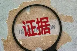 證據收集與整理