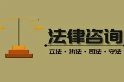 法律咨詢與案件評估