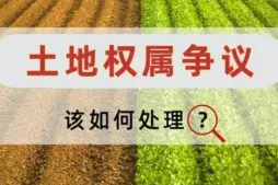 土地(dì / de)使用權糾紛處理