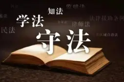 律師的(de)專業背景如何？