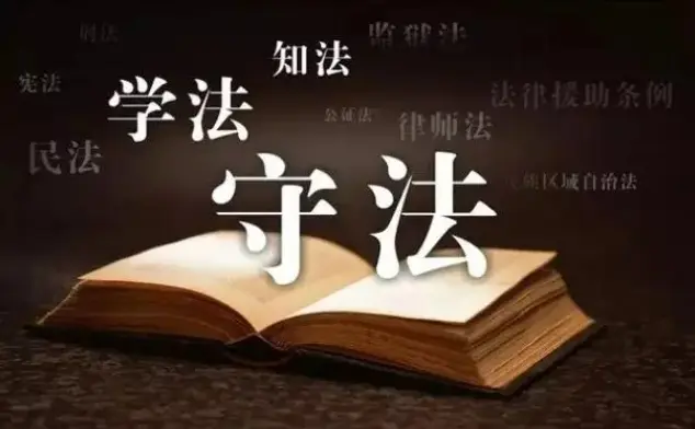律師的(de)專業背景如何?